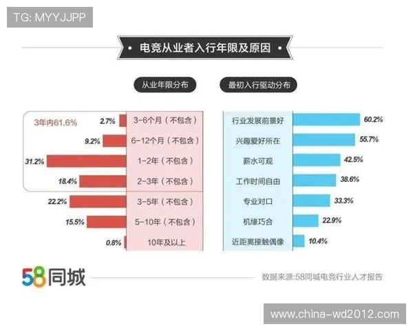 《2025年全球电竞市场分析报告：游戏产业持续增长 电竞赛事影响力不断扩展》