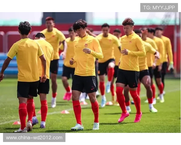 中国足球队备战世预赛集训完成 新阵容亮相引期待 中国足球队备战世预赛集训完成 新阵容亮相引期待