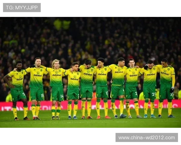 诺维奇俱乐部宣布新赛季阵容调整，目标重返英超挑战顶级赛事