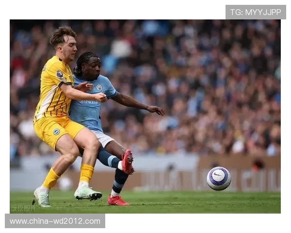 从英超黑马到体系典范布莱顿俱乐部的崛起之路与足球哲学新时代