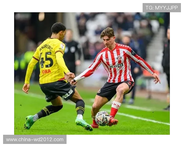 沃特福德俱乐部迎新帅新援到位冲击英冠升级目标明确新赛季蓝图